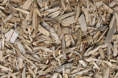 biomass boilers Horseheath